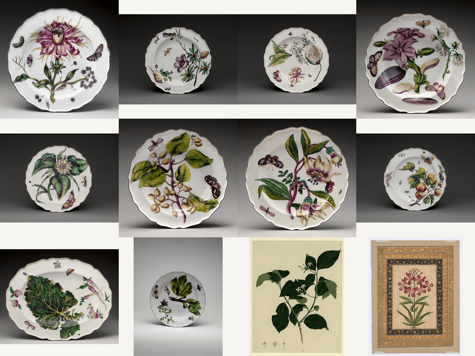 Vintage Botanical Illustrations Vol. 1