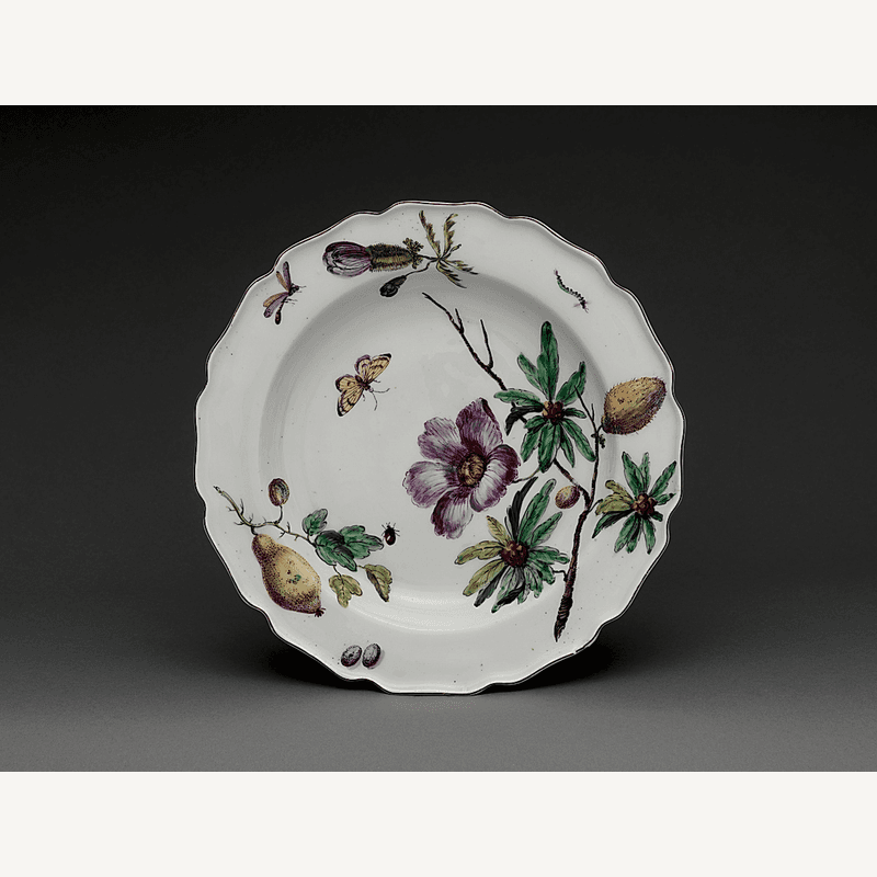 Vintage Botanical Illustrations Vol. 1 3