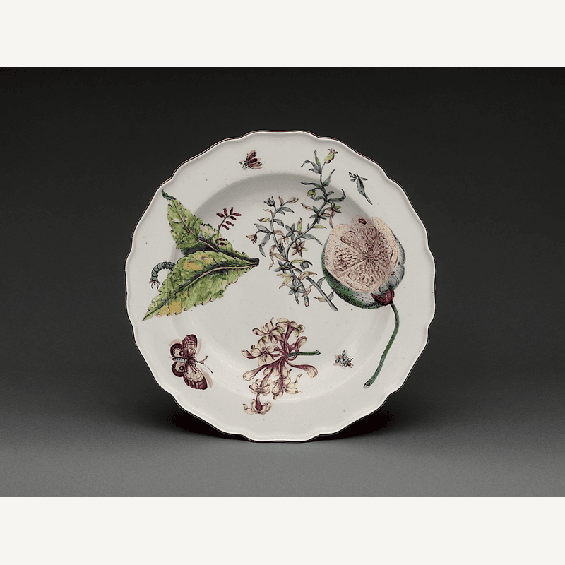 Vintage Botanical Illustrations Vol. 1 4