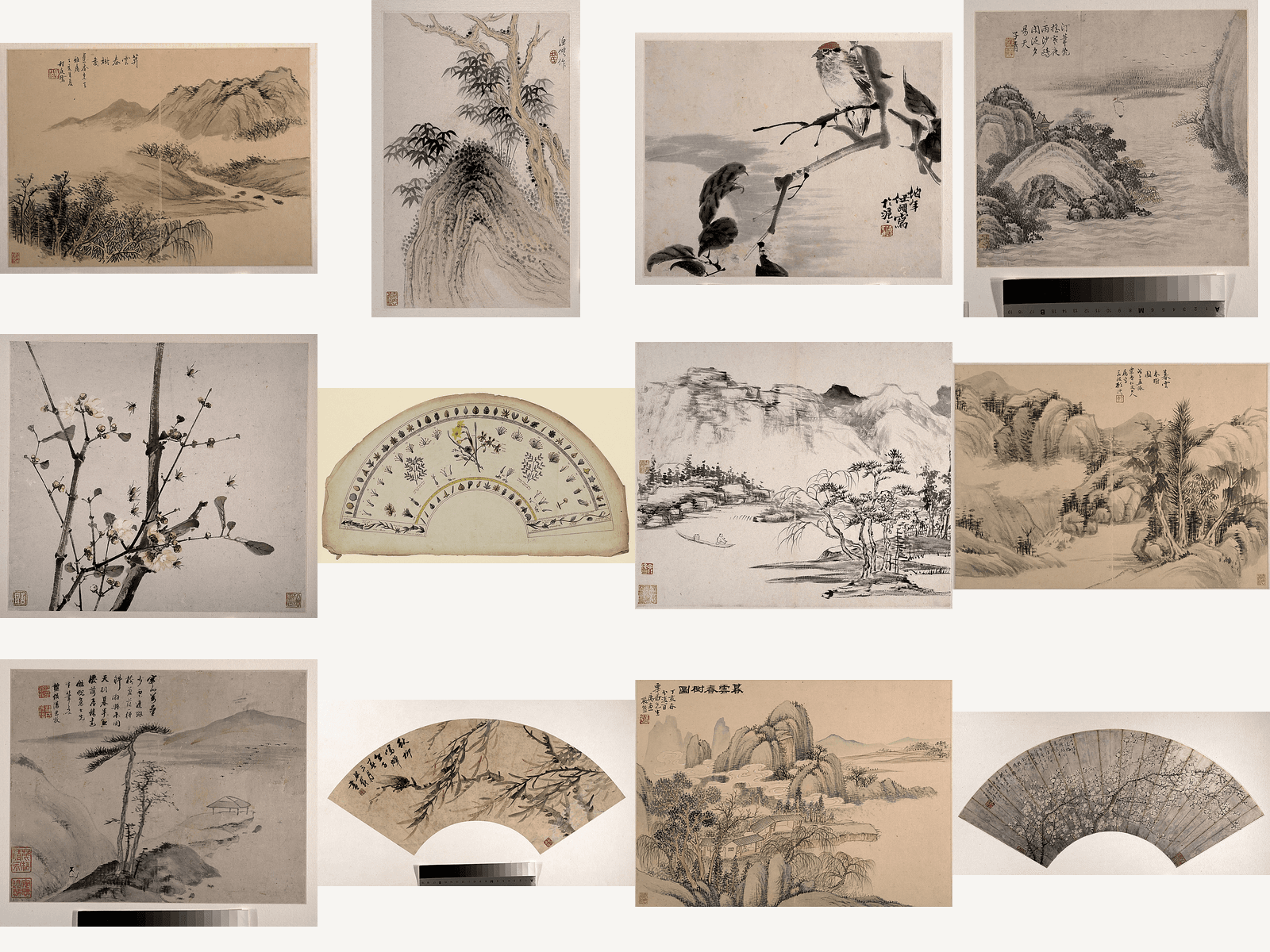 Fern & Leaf Collection