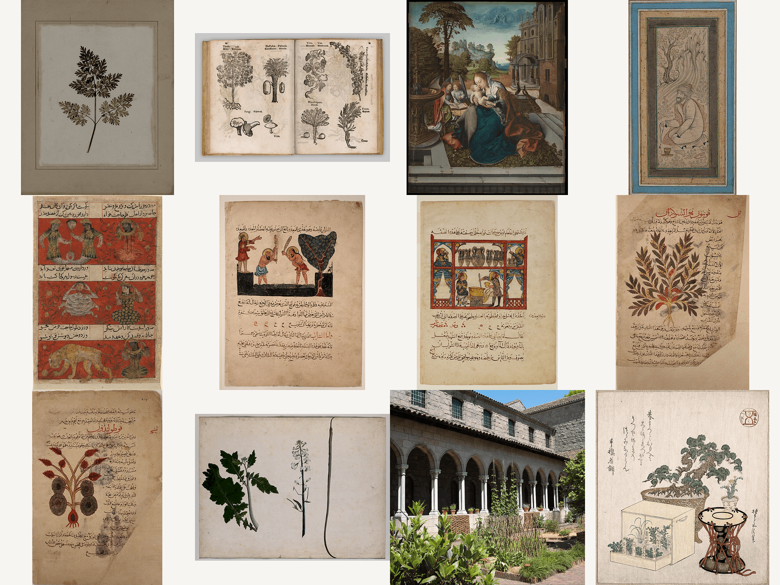 Herb Garden Collection