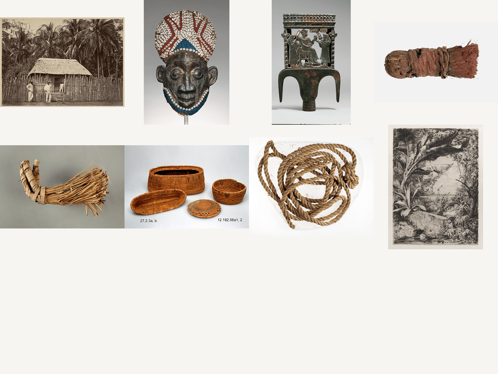 Tropical Plants & Palms