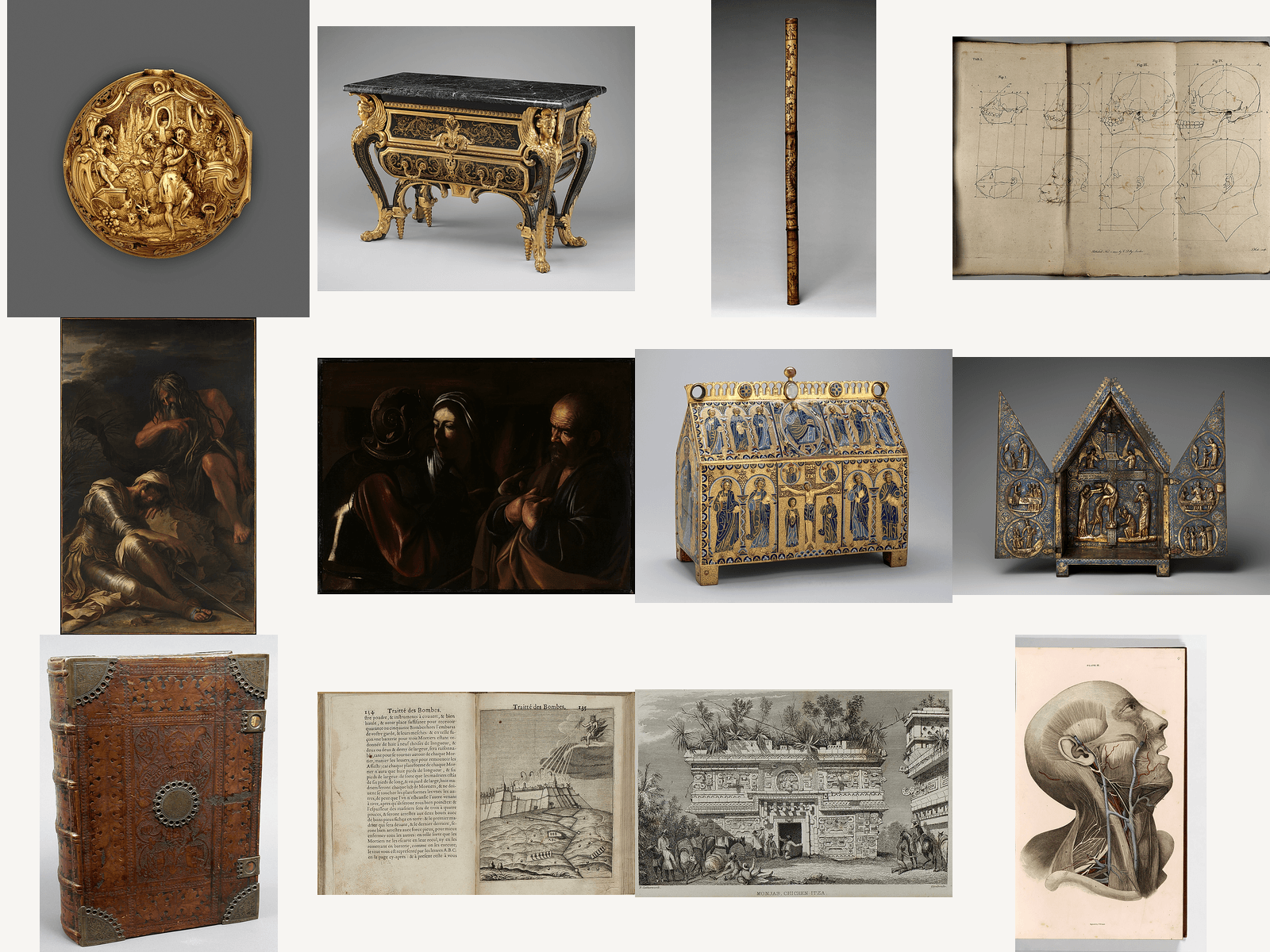 Vintage Anatomy Illustrations