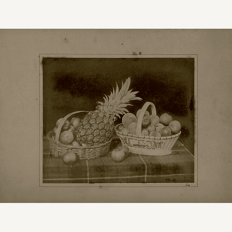 Vintage Fruit Illustrations 4